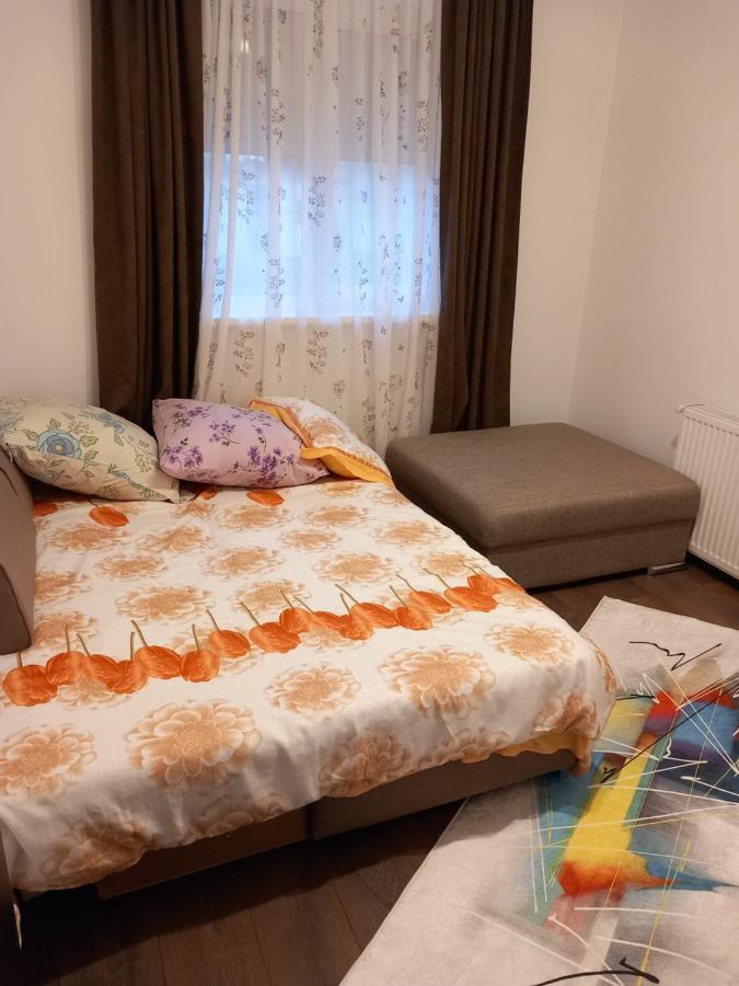 New Apart Apartment Fagaras Exterior photo